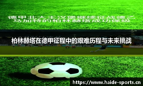 海德体育官网