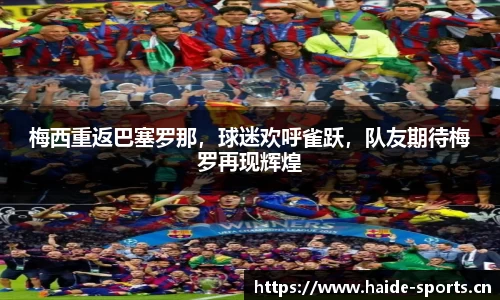 海德体育官网