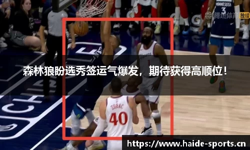 海德体育官网