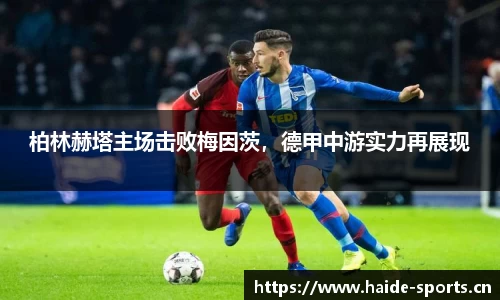海德体育
