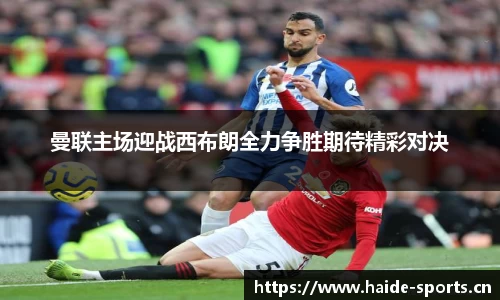 海德体育官网