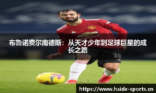 海德体育官方网站